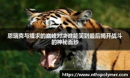 恩瑞克与播求的巅峰对决谁能笑到最后揭开战斗的神秘面纱